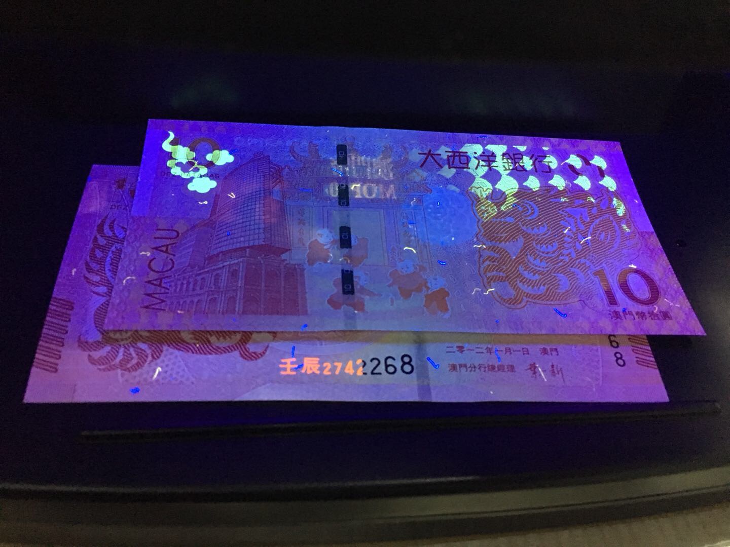科普展现:澳门龙8（澳门龙马绘图）
