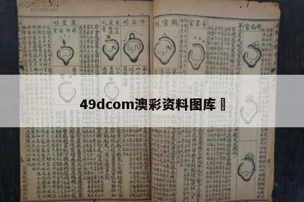 49dcom澳彩资料图库	